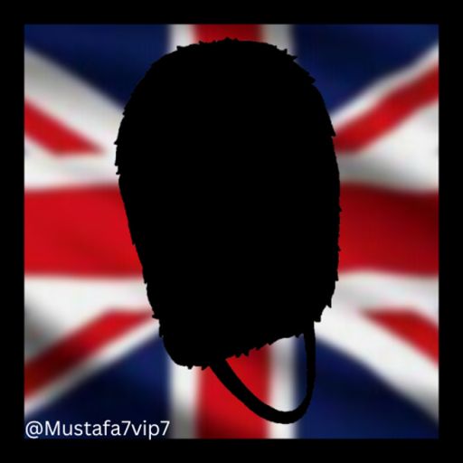 (SALES!) 💂Grenadier Guards | British Army cover