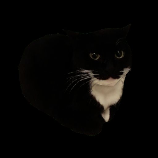 cat holding simulator (abandoned) cover