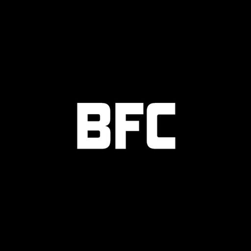 Boss Fighting Chronicles cover