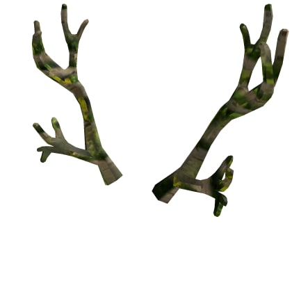 Wanwood Antlers cover