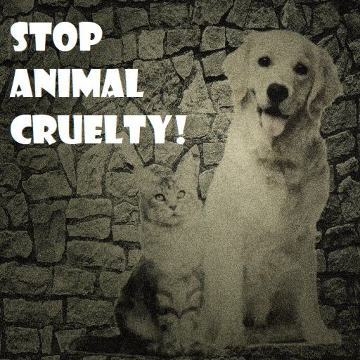 Favorite if you're Against Animal Abuse! cover