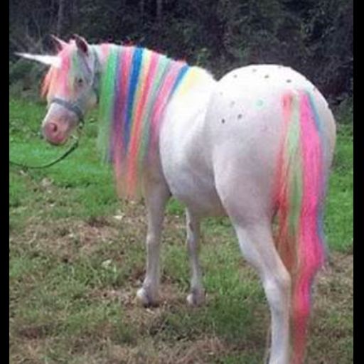 Unicorn theme Park! cover