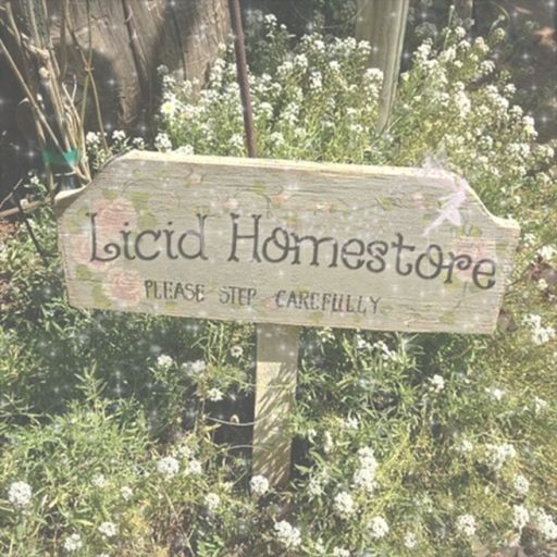 Aesthetic HomeStore cover
