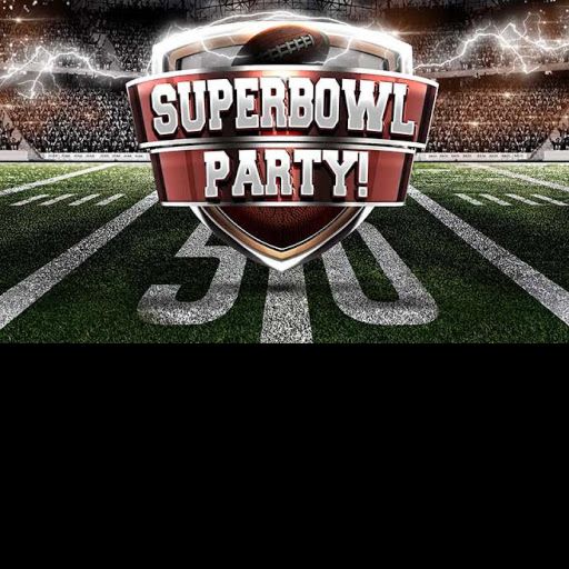 Nationals Park Super Bowl Celebration cover
