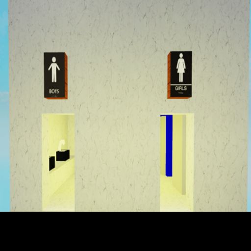 Public bathroom cover