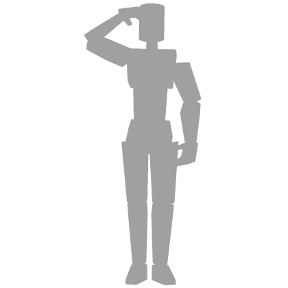 Salute cover