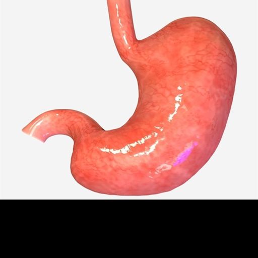 chill in a stomach cover