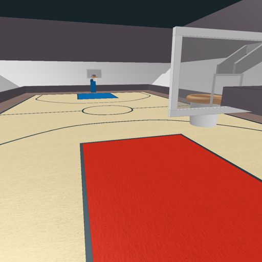 Basketball cover