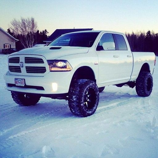 New Trucks! Offroading Trucks cover