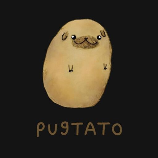 ~Pugs and Potatoes~╰(*°▽°*)╯ cover