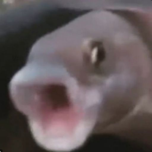 Nacht der Pogfische cover