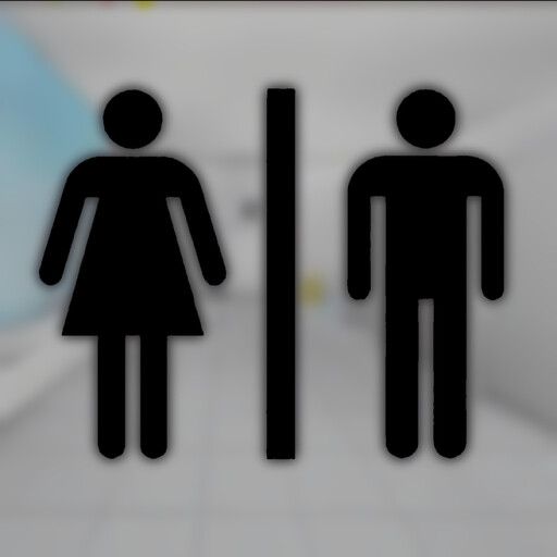 Public Bathroom Simulator (VC) cover